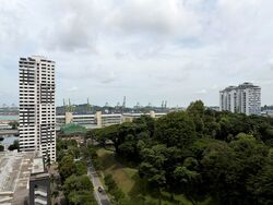 Blk 8 Cantonment Towers (Bukit Merah), HDB 4 Rooms #579298091